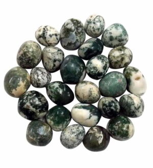 Tree Agate Tumbled Stones