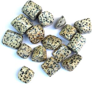 Dalmatian Jasper Tumbled Healing Stones