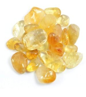 Original Amber Tumbled Stones