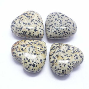 Natural Dalmatian Jasper Crystal