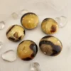 Serenity Stones: Natural Septerian Gallet Palm Stones