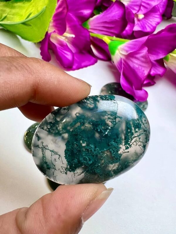 Wholesale Moss Agate Palm Stones Crystal Palm Stones