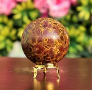 Wholesale Natural Crystal Fossile Coral jasper Gemstone Spheres